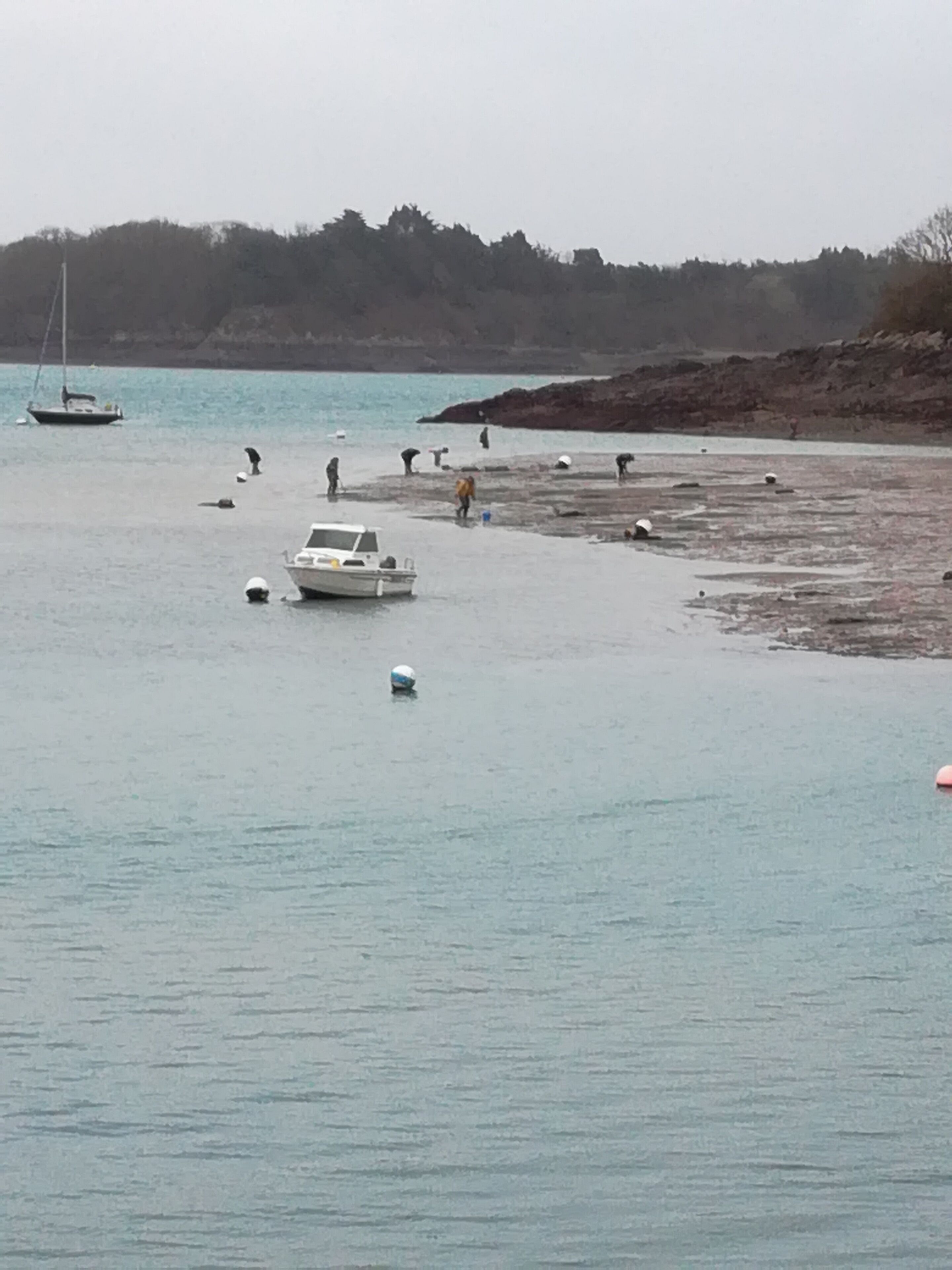 A coastal scene with boats and people on the shore.