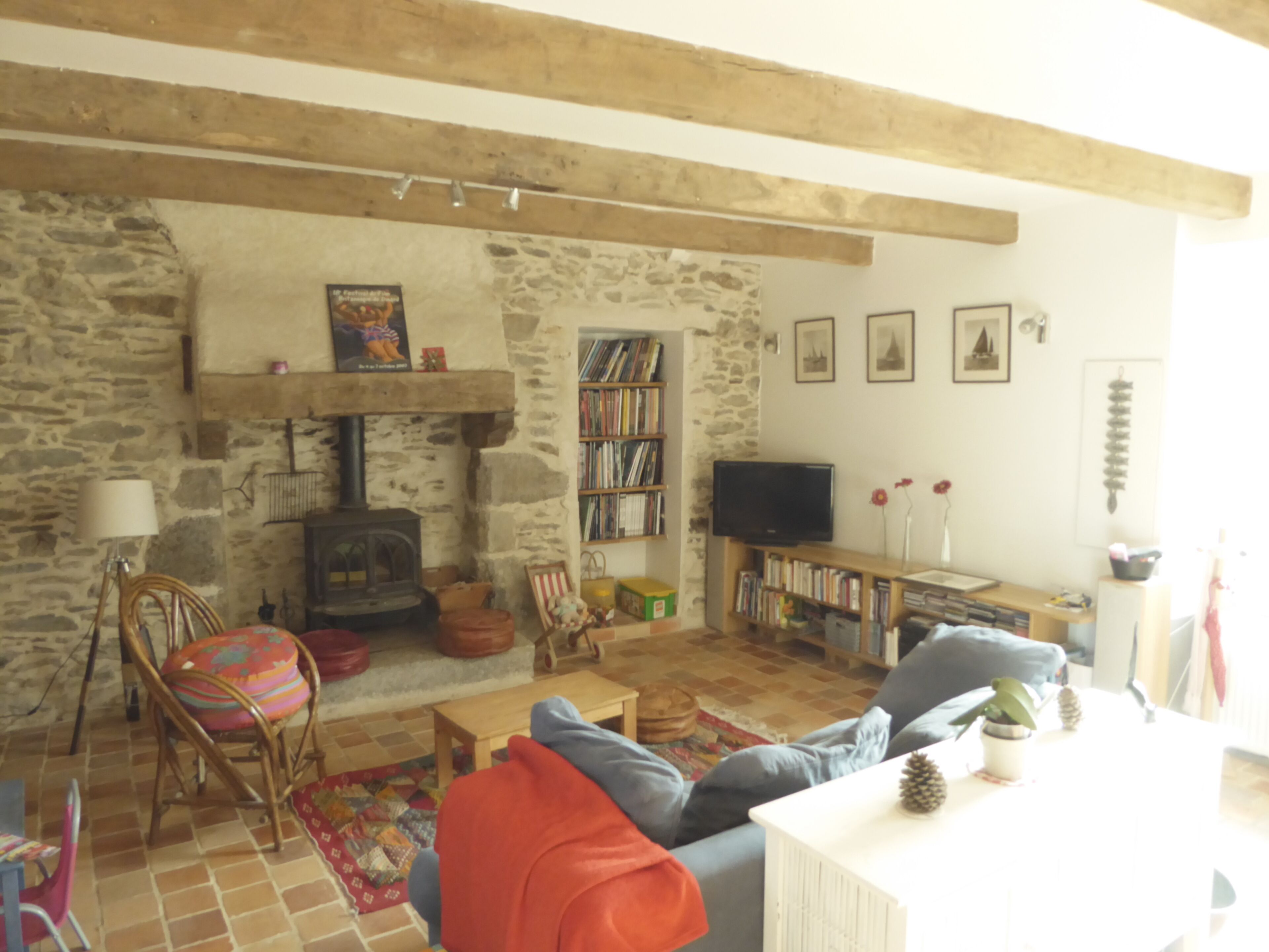 Télévision, cheminée, livres