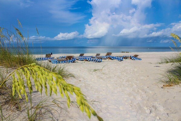En la playa y camastros 