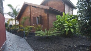 A wooden house with a brick pathway and various plants.
