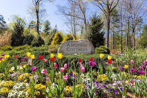 Property grounds - Magnolia Cottage • Luxury Hot Tub Hideaway (Asheville)