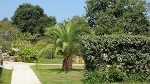 A pathway leading through a landscaped garden with palm trees and dense shrubbery. - Villa Cigale 3 - 8 people 300m from the beach with shared pool (San-Nicolao)