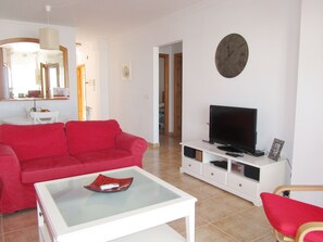 Flat-screen TV, DVD player, books