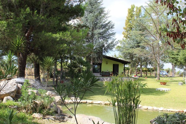 Property grounds - THE PARADISE .... TO THE IMPROVVISO !!!! (Carmiano)