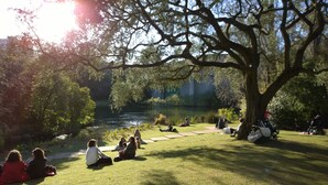Ein Park mit einem großen Baum, einem Teich und Menschen, die auf der Wiese sitzen.