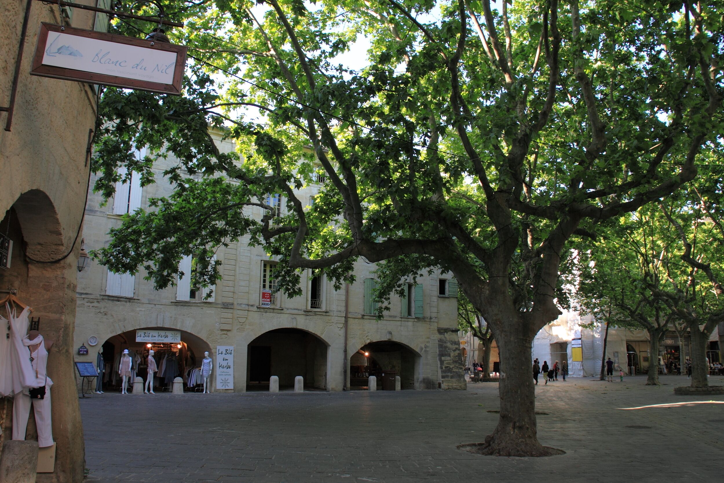 Una plaza histórica con un árbol grande, arcos y una tienda boutique.