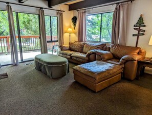 TV, fireplace, DVD player