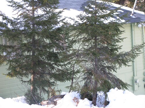 Willow Cottage - A Great Getaway for a Group or Family