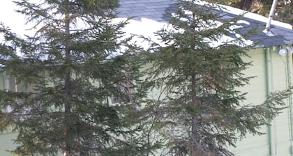 Willow Cottage - Suuri Getaway ryhmälle tai perheelle