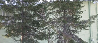 Willow Cottage - A Great Getaway for a Group or Family