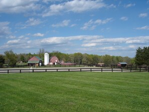 Sports court - Enjoy Horses as your neighbors on our 600 Acre Horse/Cattle Farm. (Gordonsville)