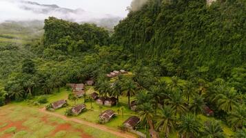 A lush, green landscape with a cluster of traditional houses surrounded by dense forest and palm trees.