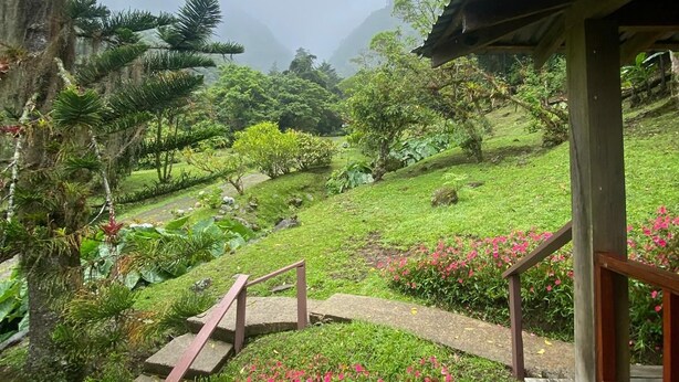 A wooden staircase leading to a covered area with a view of a lush garden and distant mountains.