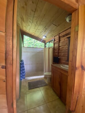 Shower, towels, soap, toilet paper