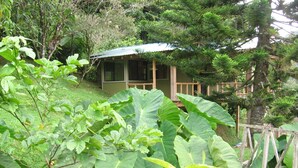 A rustic cabin with a green roof, surrounded by lush greenery and large-leafed plants.