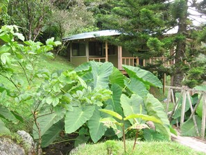 Exterior detail - One Bedroom Cabin On Two Hundred Acres in costa rica (CACHI)
