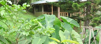 One Bedroom Cabin On Two Hundred Acres in costa rica