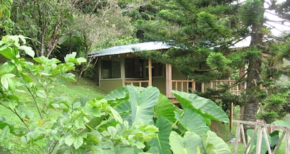 One Bedroom Cabin On Two Hundred Acres in costa rica