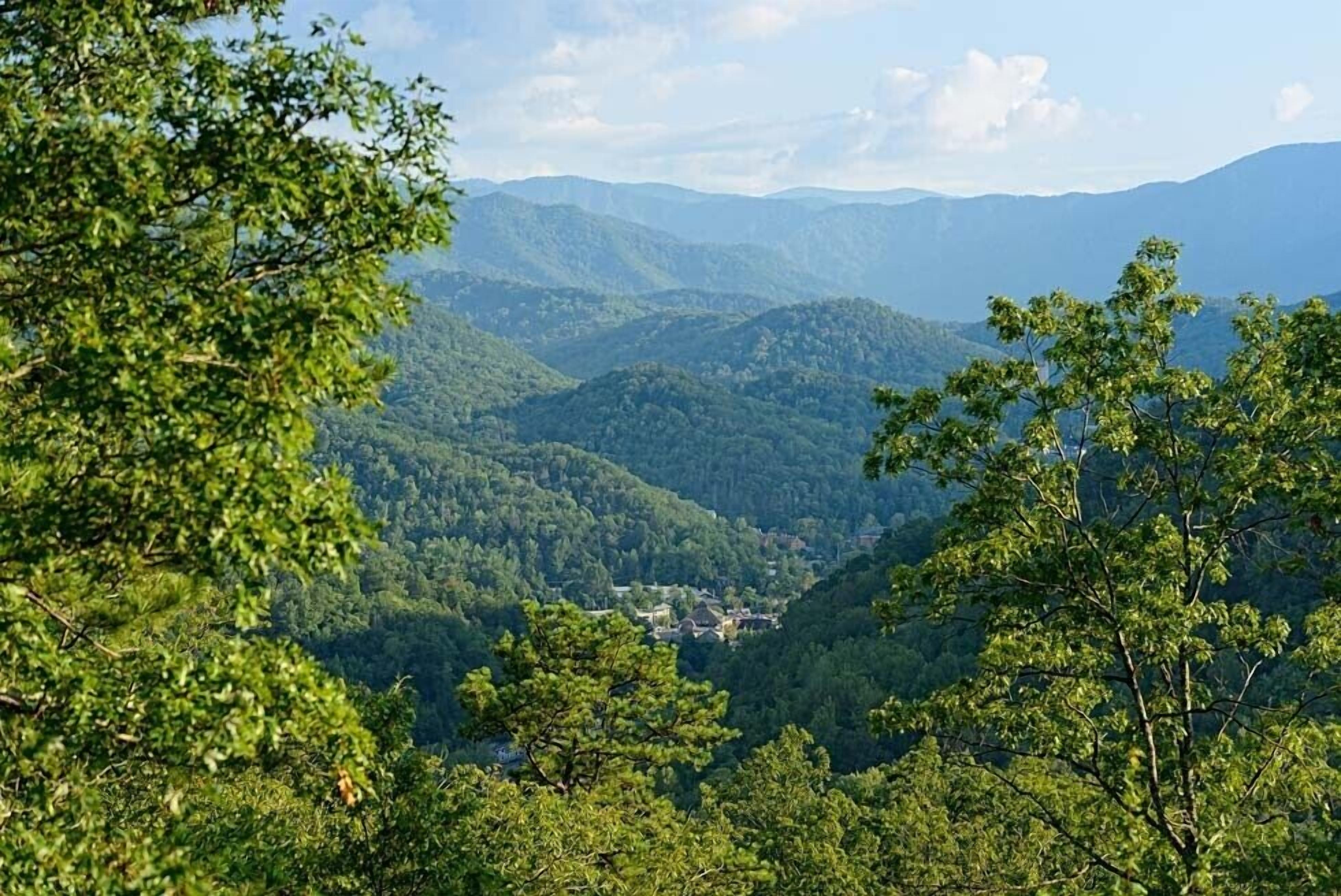 Un paysage montagneux, avec de vastes forêts et un petit village situé dans la vallée.