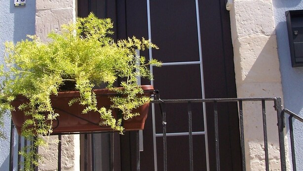 A building with a brown door and a potted plant in front. - Palazzolo Acreide Charming cottage for two people !!  (Palazzolo Acreide)