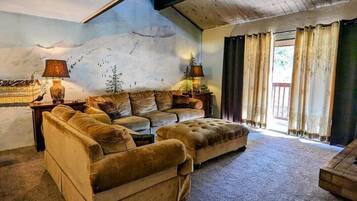 TV, fireplace, DVD player