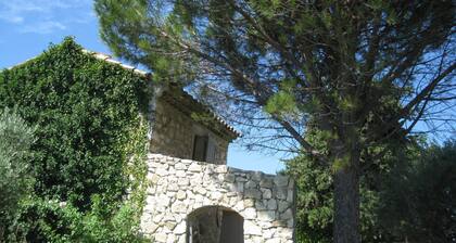 GITE RAISIN side VENTOUX **
