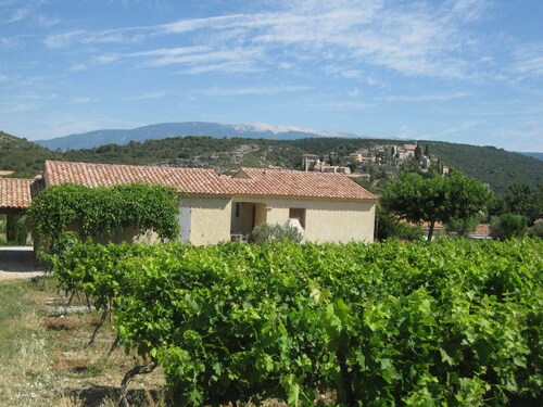 GITE RAISIN side VENTOUX **