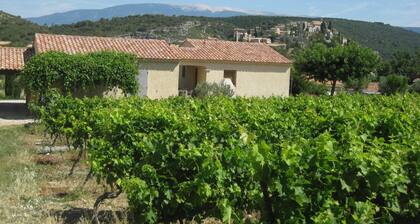 GITE RAISIN side VENTOUX **