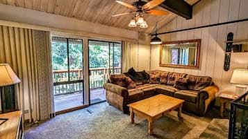 Televisión, chimenea y reproductor de DVD