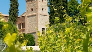 Un château doté d’une tour, entouré de verdure et d’arbres imposants.