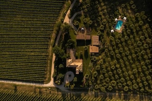 Exterior - Fonte Sala - Lavender (Montefalco)