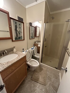 Bathtub, hair dryer, towels, toilet paper