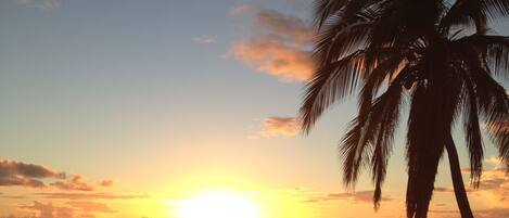 Plage à proximité, chaises longues, serviettes de plage