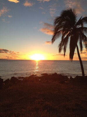 Plage à proximité, chaises longues, serviettes de plage