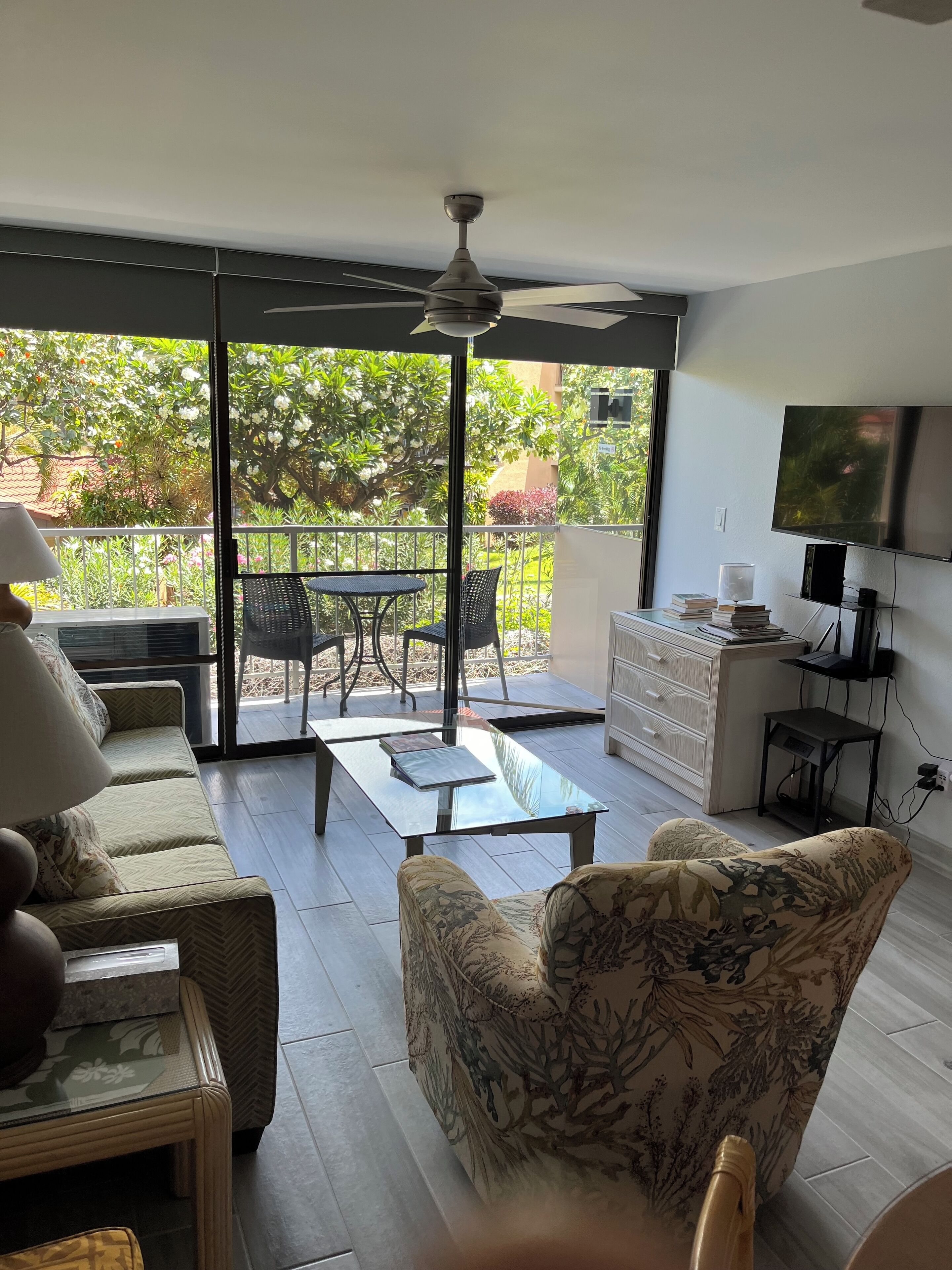 Smart TV, DVD player, books