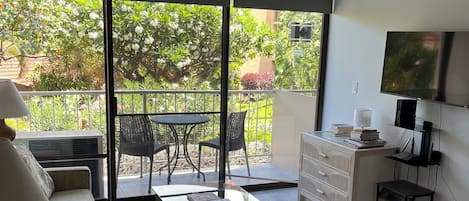 Smart TV, DVD player, books