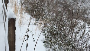 Eine große Holzhütte mit Balkon, umgeben von schneebedeckten Bäumen und einem Holzzaun.
