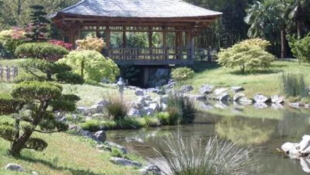 Ein traditionelles japanisches Pavillon mit einem Ziegeldach, umgeben von sorgfältig gestutzten Büschen und einem kleinen Teich mit Felsen.