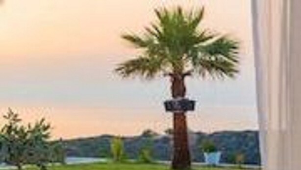 A wooden deck with a table set for dining, overlooking a grassy area with a palm tree and a signpost. - Luxury White  Suite(2 Persons) (CHANIA)