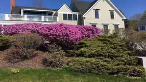 A two-story house with a balcony, surrounded by well-maintained gardens and flowering bushes. - Spacious 1 bedroom apartment in town with a water view! (Camden)