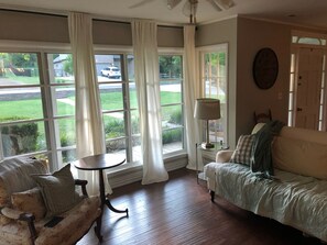 Televisión, chimenea y libros 