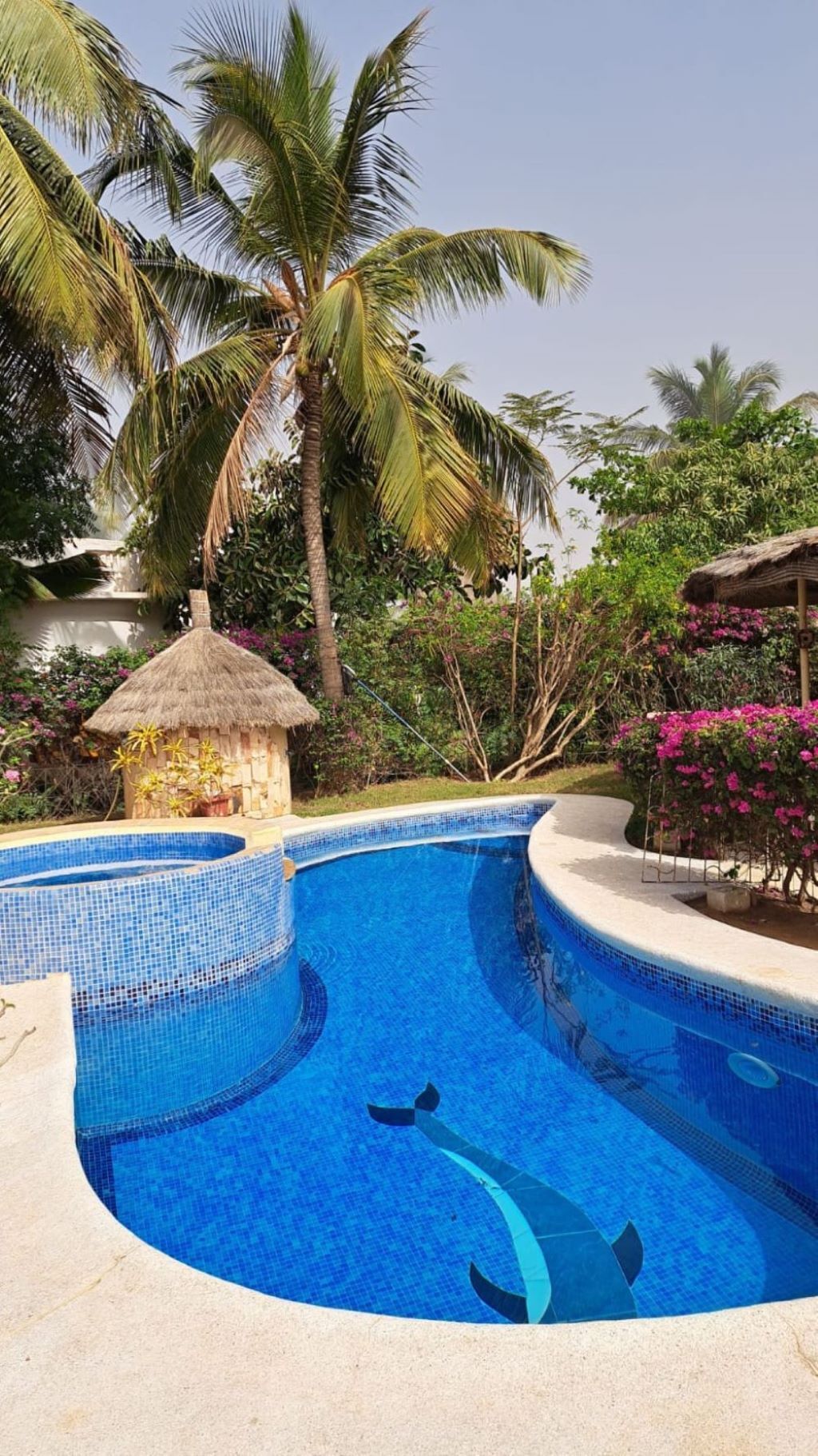 Piscine extérieure, piscine à débordement