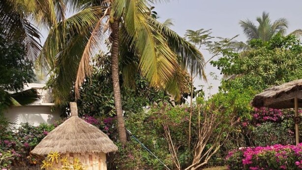 A swimming pool with a dolphin design, surrounded by palm trees and tropical plants. - Dreamlike villa with infinity Jacuzzi and lagoon swimming pool (Unknown)