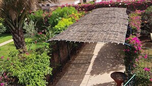 A garden pathway with a pergola, surrounded by lush greenery and flowering plants. - Dreamlike villa with infinity Jacuzzi and lagoon swimming pool (Unknown)