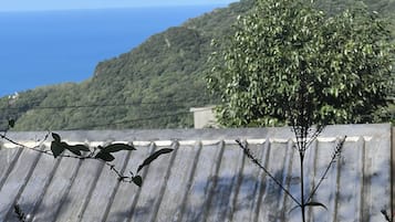 传统双人房, 1 张双人床, 无烟房, 山景 | 起居区 | 平板电视