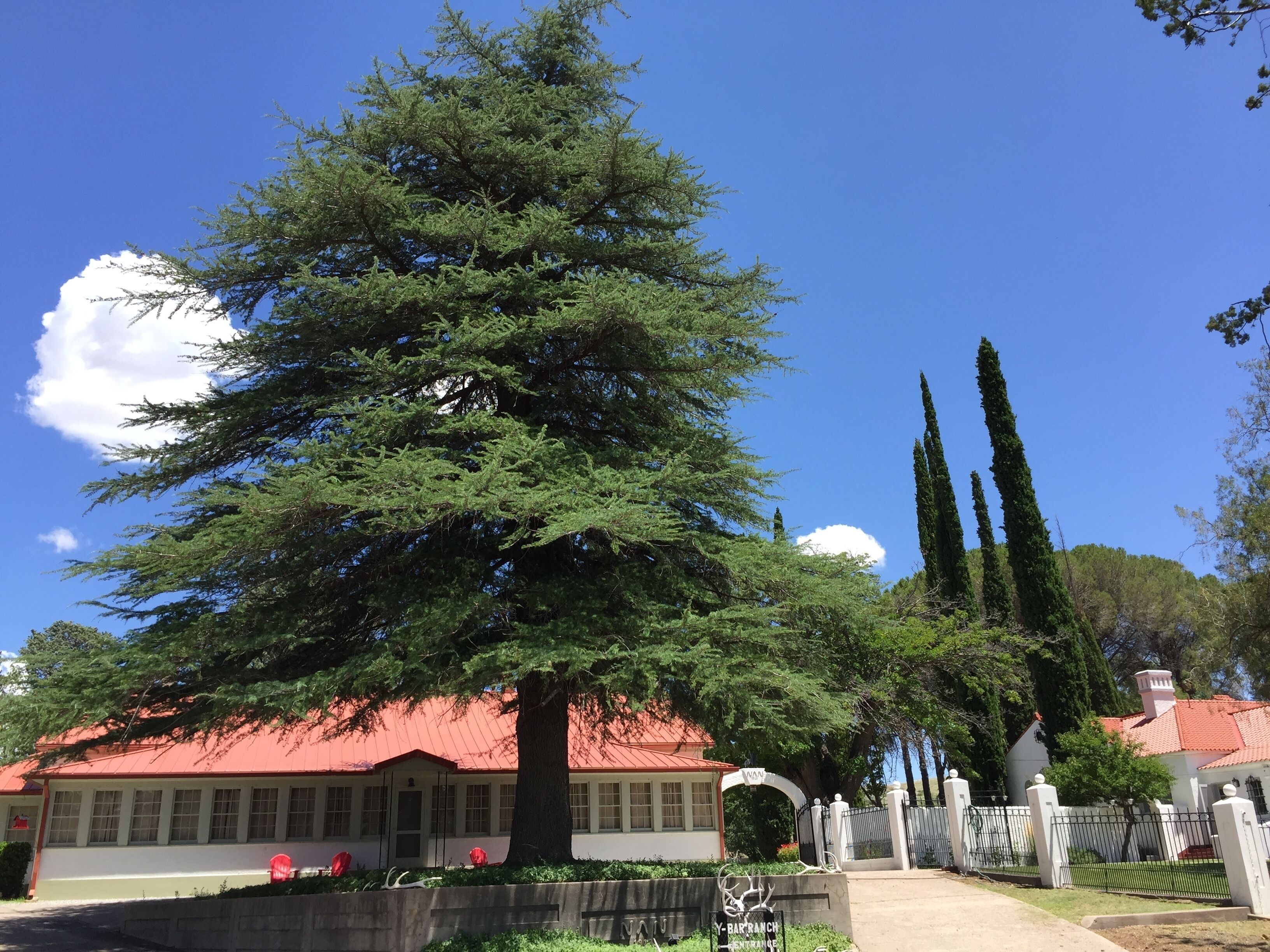 NAN Ranch - On the Magical Mimbres River of New Mexico, a  Historic Retreat