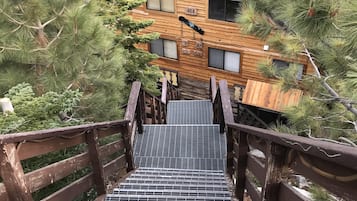 A wooden cabin with a green roof, surrounded by pine trees.