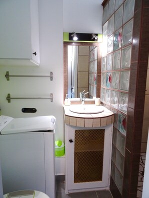 シャワー、ヘアドライヤー、タオル、トイレットペーパー