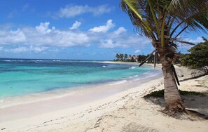 بالقرب من الشاطئ