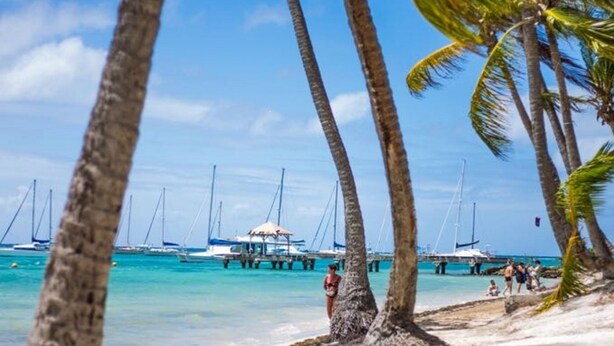 A beach with palm trees, clear blue water, and sailboats.